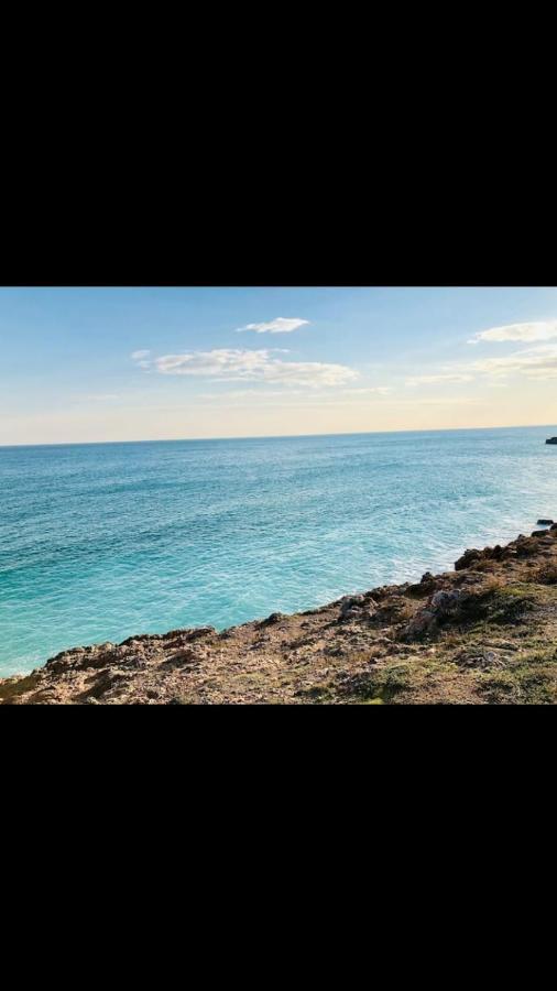 Grand Studio Bord De Mer Plus Piscine Сет Экстерьер фото